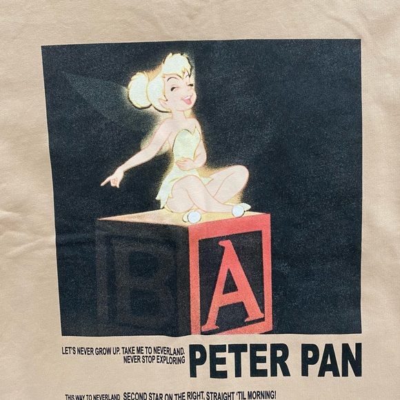 Zara Tops Zara X Disney Tinkerbell Peter Pan Short Sleeve